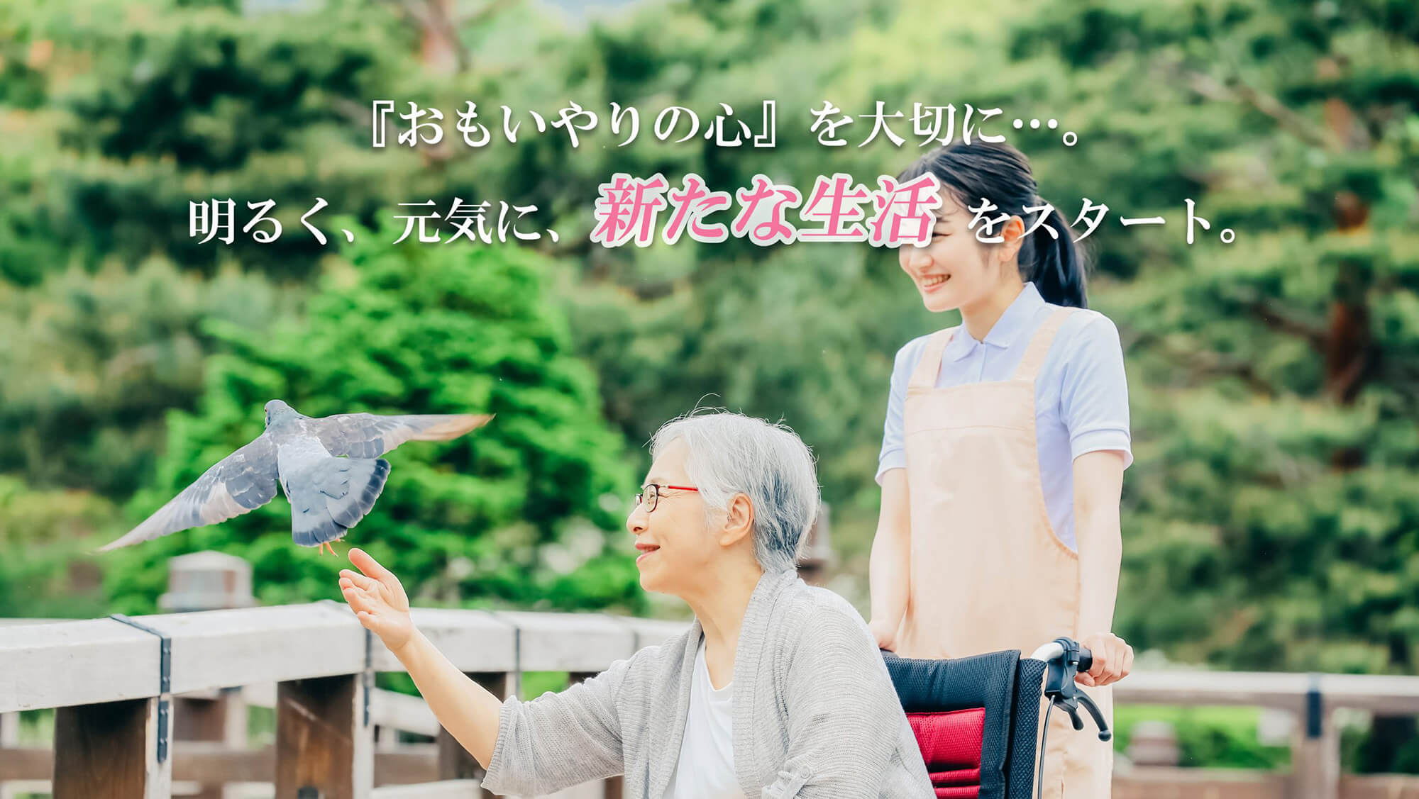 介護イメージ
