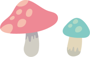 きのこ