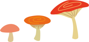 きのこ